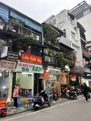  #Veganuary at Katze Vegan & Vegetarian  in Hanoi