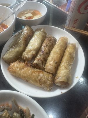 spring rolls  at Katze Vegan & Vegetarian  in Hanoi