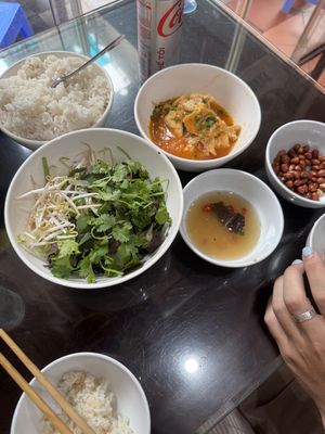 free starters! tofu, rice, greens, peanuts  at Katze Vegan & Vegetarian  in Hanoi