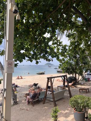   at Breeze in Koh Tao