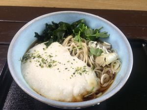 Cold vegan bukkake tororo soba at Takaosan Sumika in Hachioji