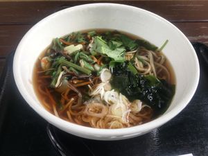 Hot vegan sansai soba at Takaosan Sumika in Hachioji