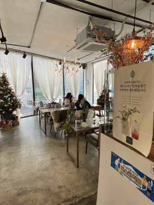 Beautiful space!  at Vegan & Beyond in Seoul