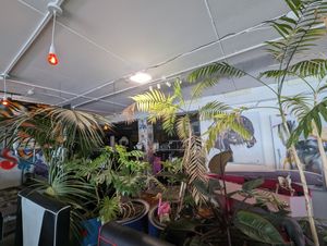 Inside at Mystic Kitchen in Wellington