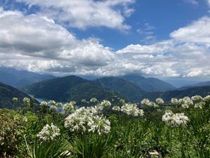 Beautiful view at Shān Shuǐ Yuán 水緣蔬食民宿 in Ren Ai