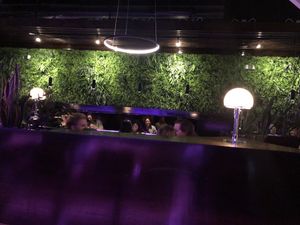 The Green Wall 🤩 at Neon Tiger in Charleston