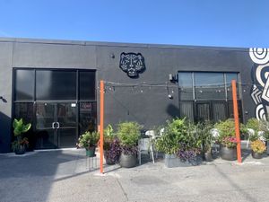 Front at Neon Tiger in Charleston