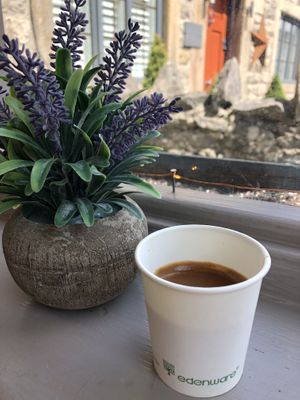 Expresso espresso at Plant & Planet in Castleton