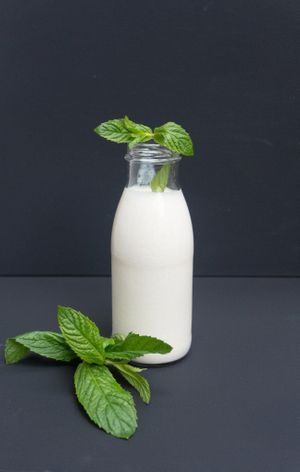  at Vamos Veganos in Berlin