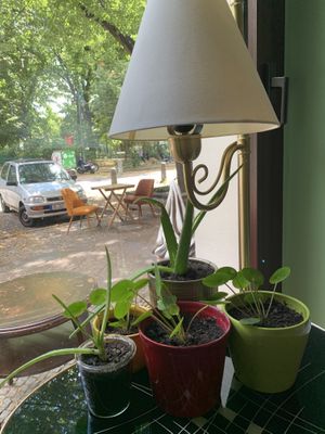 Lovely interior  at Vamos Veganos in Berlin