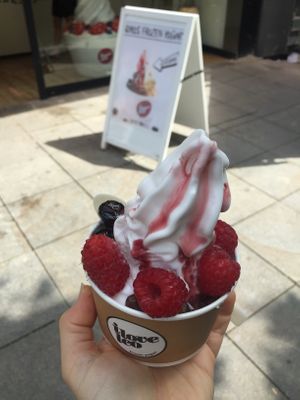 frozen yogurt with chocolate covered coffee beans, amarena cherries and raspberries  at I Love Leo in Stuttgart