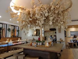  at Neko Ramen in Paris