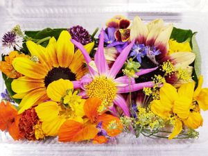 Edible Flower at Keyaki Cafe in Sendai