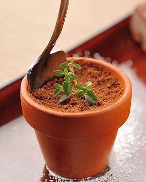 Sweet at Keyaki Cafe in Sendai