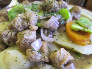 Barbara (boiled habas, carrot, soy meat, onion, potato) at Namas Te in La Paz