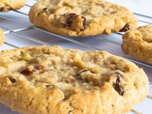 Vegan Chocolate Chip Cookies at The Hastings Bakery in Hastings