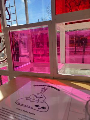 Inside at Vegan Ramen Shop - Jana Pawla in Warsaw