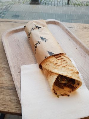 Vegap at Vegab in Poznan