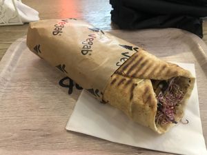 Olymp tall  at Vegab in Poznan