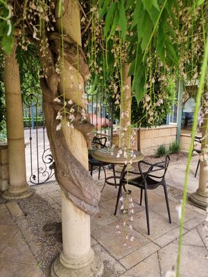 . at Topiary in Tea Tree Gully