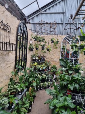 . at Topiary in Tea Tree Gully