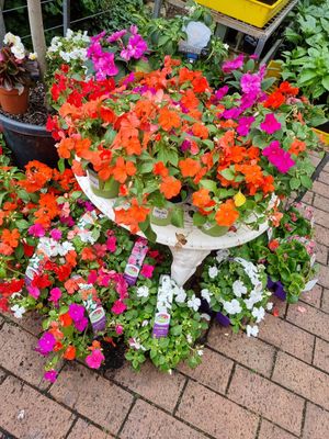 . at Topiary in Tea Tree Gully