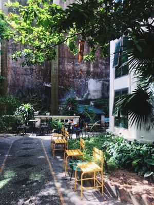 Garden at Just Bop in Hanoi