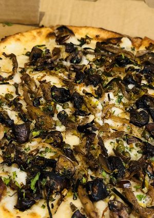 Funghi   at Pizza Verde in Fort Worth