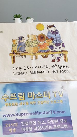 Animals are family at Soban Vegan 소반 비건식당 in Busan