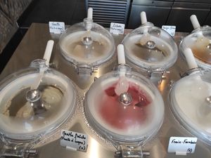 Vegan sorbets at Jolly Chocolat in Bordeaux