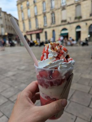 Strawberry sorbet and vanilla ice cream with vegan chantilly at Jolly Chocolat in Bordeaux