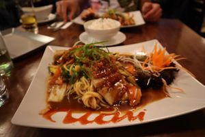 Seitan, tasted like peking duck, really really good!!  at Vevi in Vienna