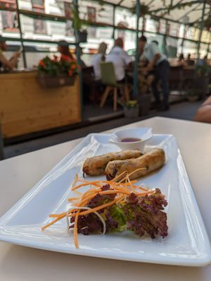Spring Rolls at Vevi in Vienna