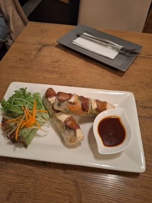 Fresh spring rolls with tofu at Vevi in Vienna