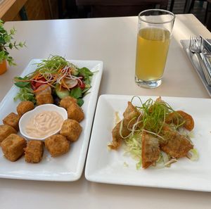 crispy tofu bites & crispy fried dumplings  at Vevi in Vienna