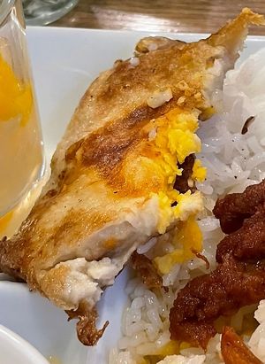 vegan fried egg, very impressive😯 (not on the regular menu though, it was a lunch menu special)  at Vevi in Vienna