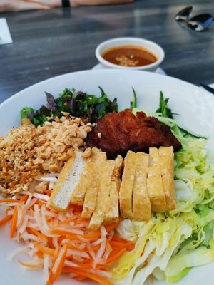 V41 Pho Tron at Vevi in Vienna