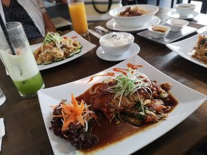 V55b (in the front) rice dish with soy, veggies// behind in the left: fried veggie rice with tofu at Vevi in Vienna