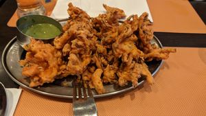  at Krishna Vilas in Eindhoven