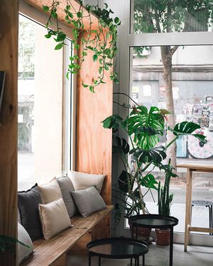 Plants and chill corner  at NEØ Coffee House in Barcelona