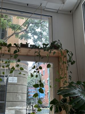   at NEØ Coffee House in Barcelona