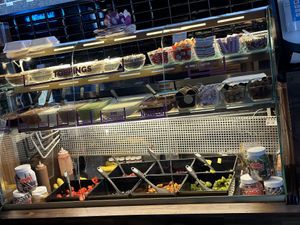 inside  at Wonder Waffel in Muenster