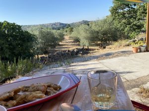 View from accommodation terrace  at La Rosina Ecovillage in Las Huertas De Cansa