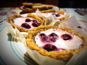 Yoghurt and wild berries tartelet at La Rosina Ecovillage in Las Huertas De Cansa