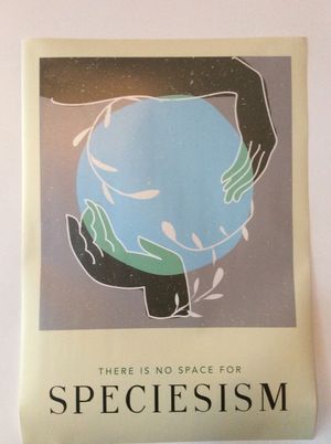 A locally produced poster at VeZa in Belgrade