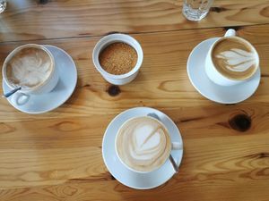 Coffee with roasted hazelnut milk and indian nuts milk at VeZa in Belgrade