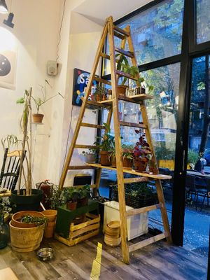 Interior   at VeZa in Belgrade