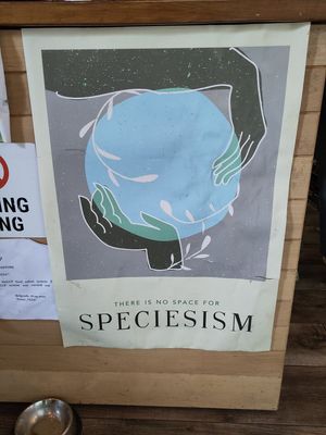 Start selling them again please at VeZa in Belgrade