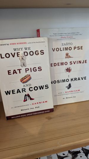 A few of the books inside at VeZa in Belgrade