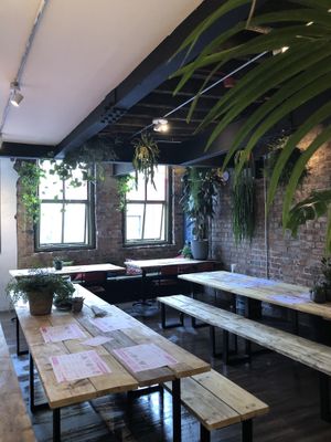 Locally sourced plant life decorates both floors  at Döner Summer in Leeds